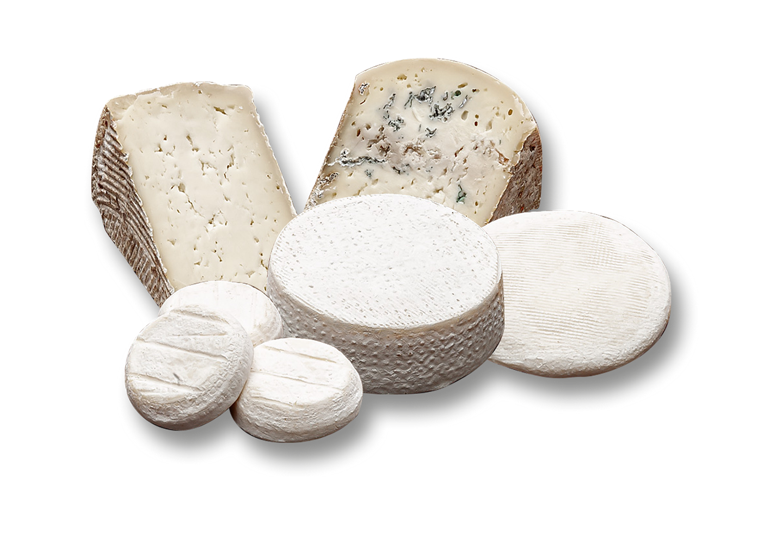 Formaggeria-La-Bottega-del-Gusto-31